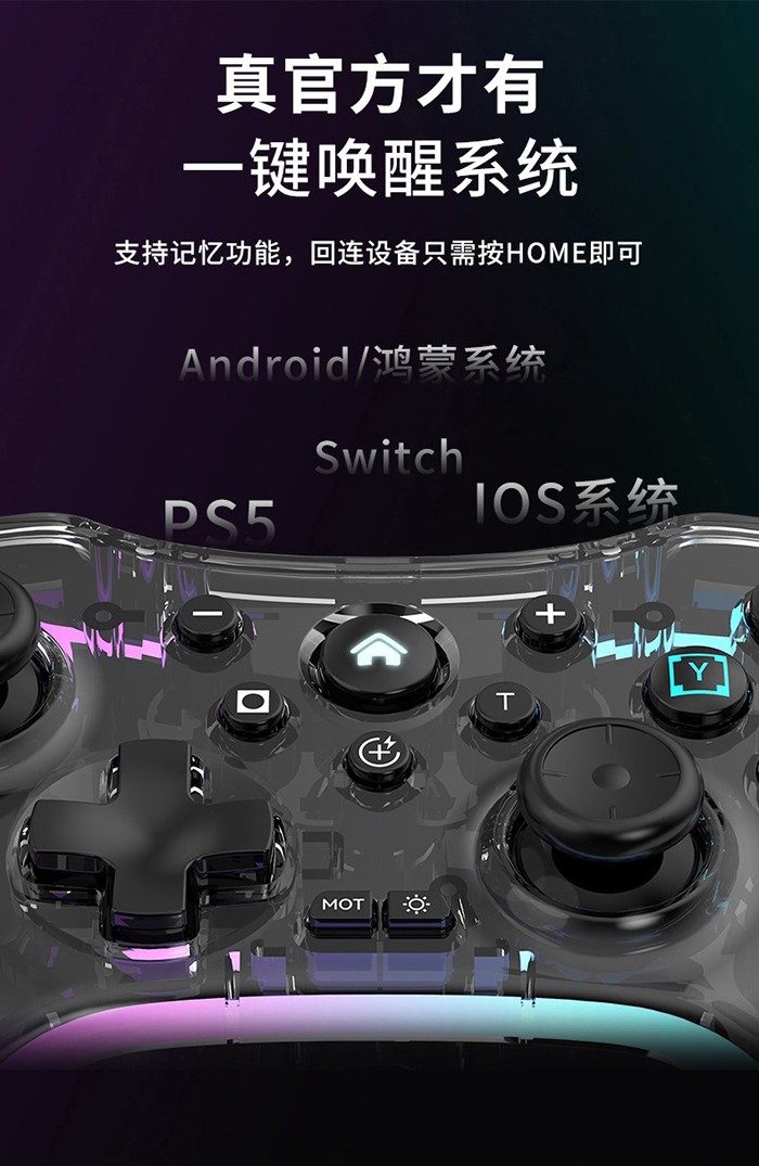 Switch炫彩手柄.jpg